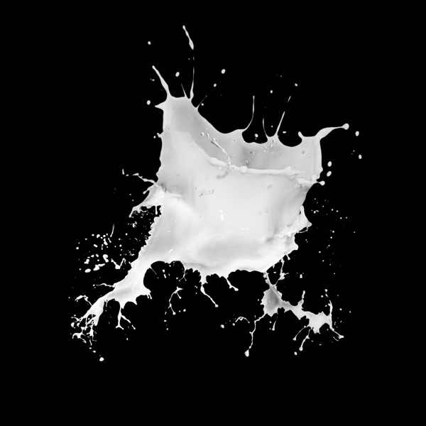 飞溅的白色牛奶奶花图片