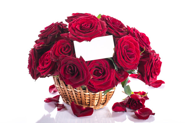 篮子里的红色玫瑰花图片