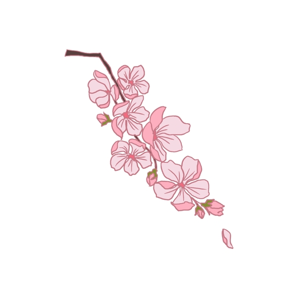 飘落的粉色樱花插画