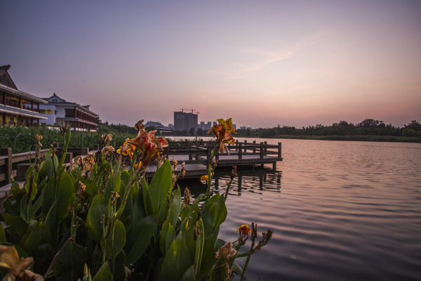 厦门五缘水乡酒店风景