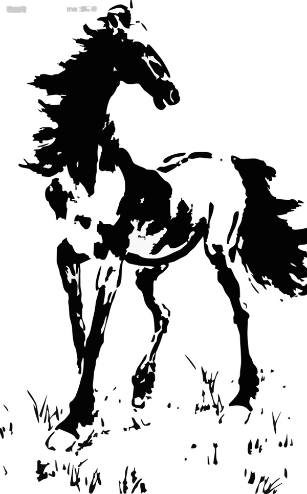 硅藻泥花纹马