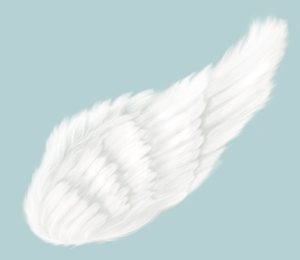 羽毛翅膀