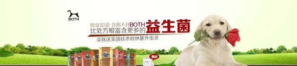 BOTH电商banner广告图片