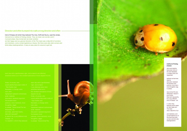昆虫生物蜗牛画册设计画册排版