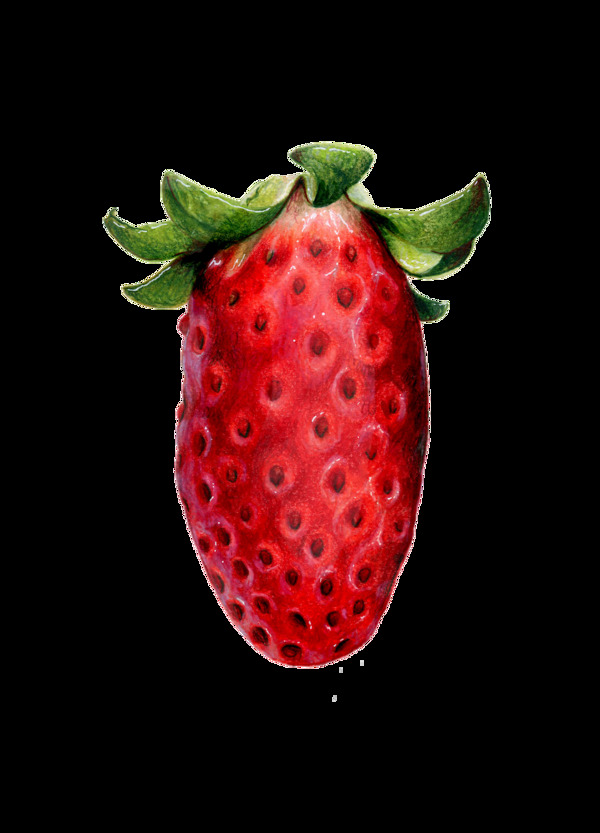 手绘涂鸦水果插画