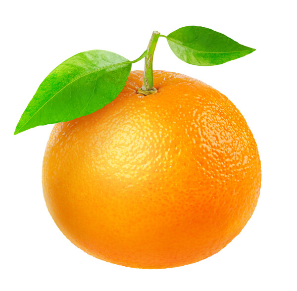 橙子摄影图片