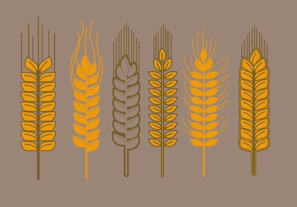 小麦秸秆载体