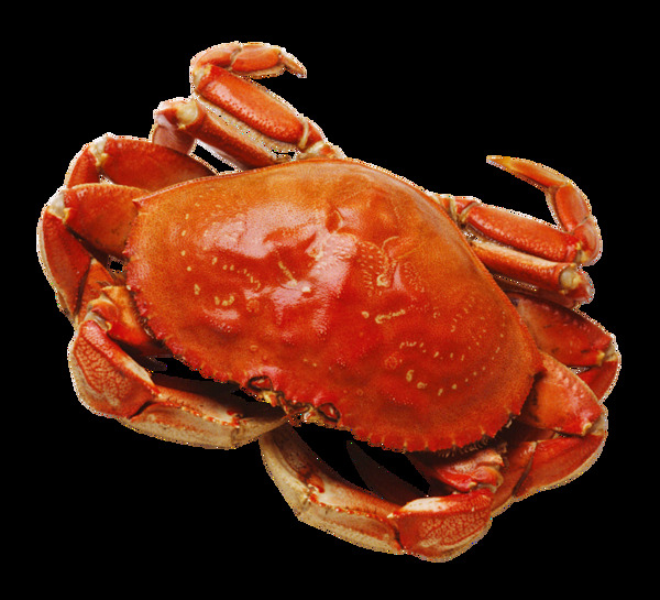 红色海鲜螃蟹图片免抠png透明图层素材