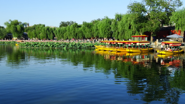 北京北海公园风景