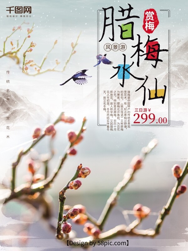 腊梅水仙白色简约旅游海报