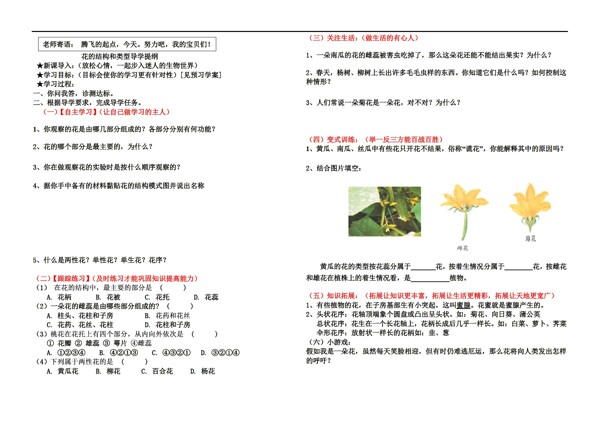 八年级上册生物花的结构和类型