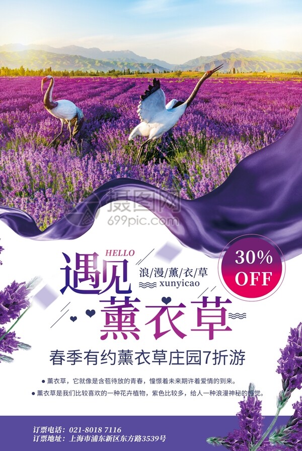 紫色唯美遇见薰衣草春季旅游促销海报
