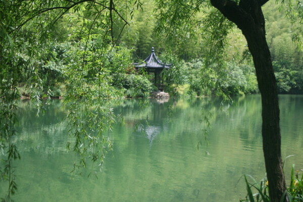 竹海湖景图片