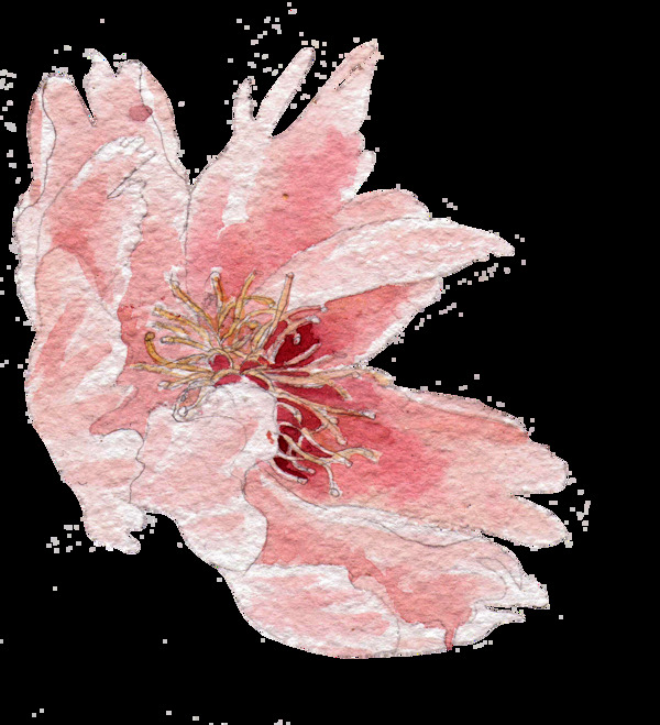 一朵复古水彩花透明素材png