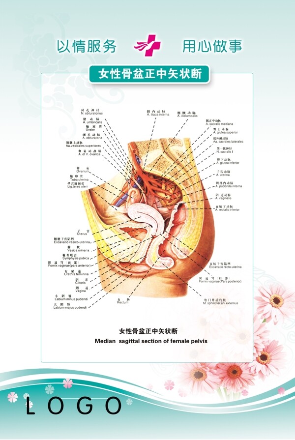 医院展板图片