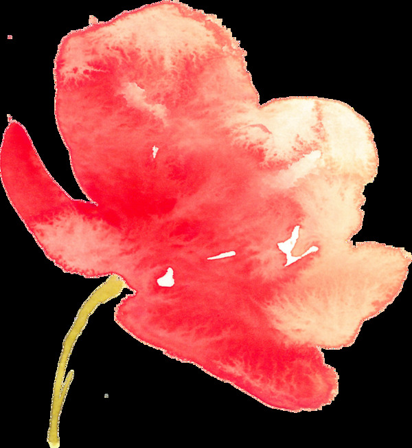 涂鸦花卉透明素材
