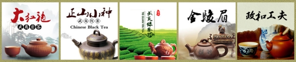 茶分类专区banner