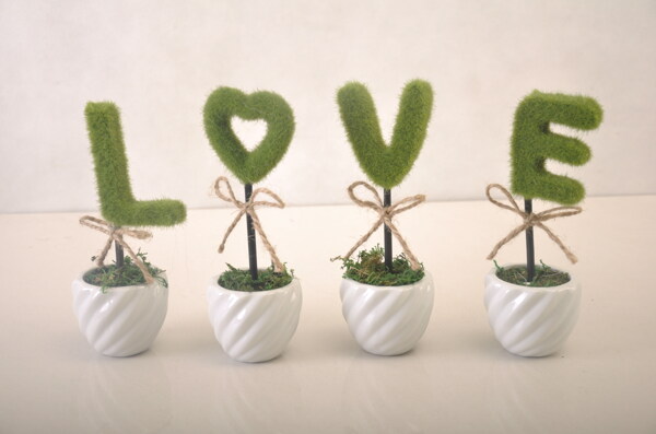 绿色LOVE盆栽图片
