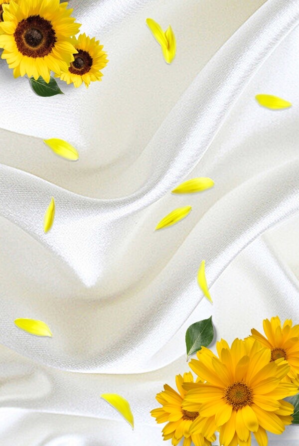 牛奶丝绸花朵背景