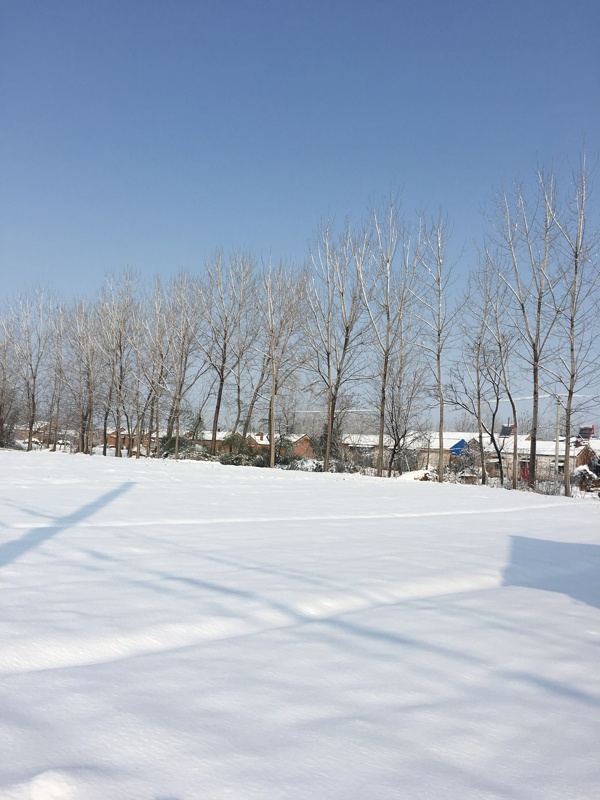 雪景大雪雪自然风景