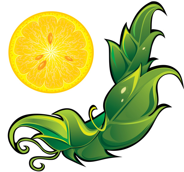 柠檬和叶子图案图片