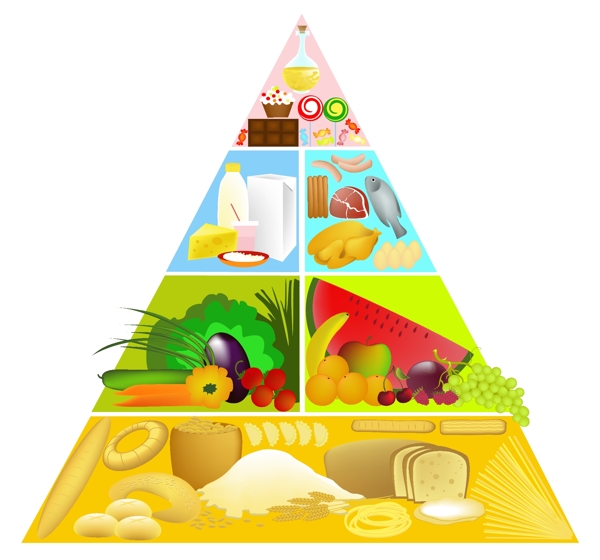 3食物金字塔矢量素材