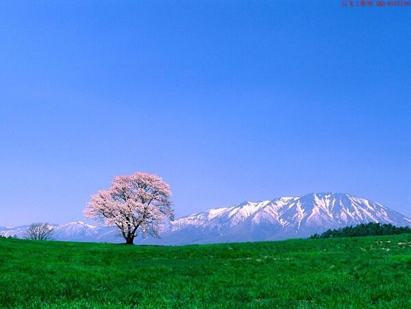 风景大图片