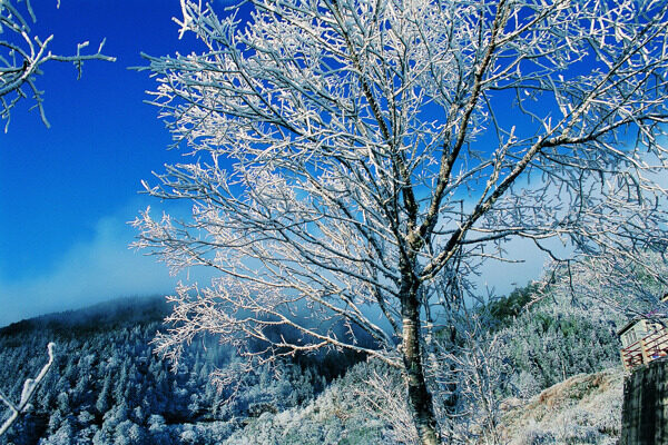 冬天雪景