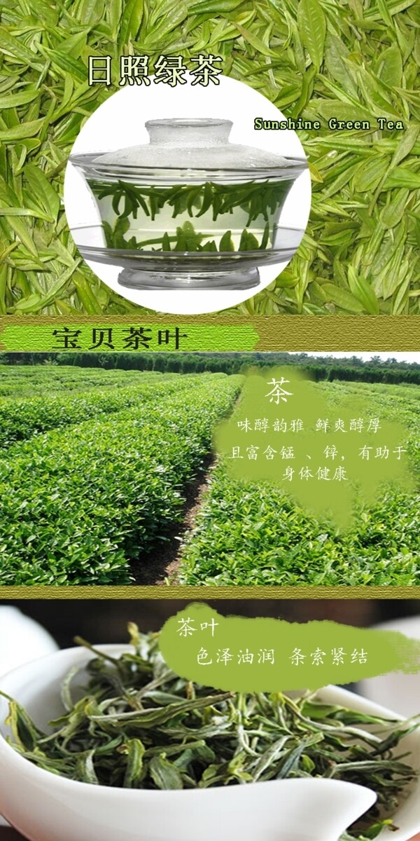 日照绿茶淘宝详情