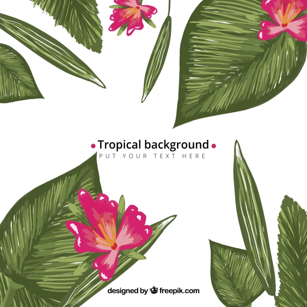 彩绘热带植物叶子花卉背景矢量素材