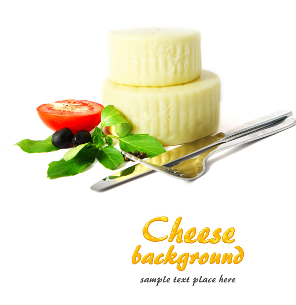 奶酪20图片