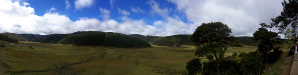 普达措国家森林公园