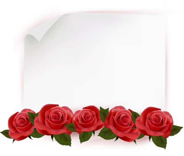 矢量浪漫红色玫瑰花与纸条