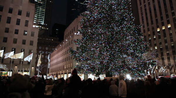纽约市圣诞树2股票的录像