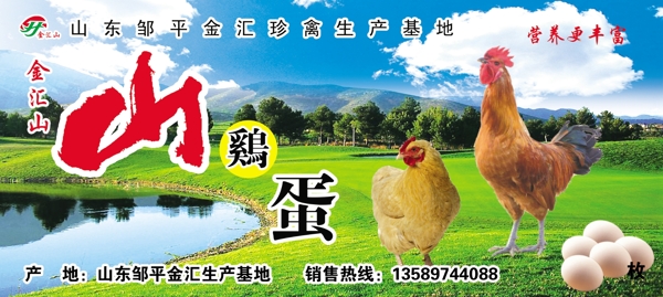 山鸡蛋广告图片