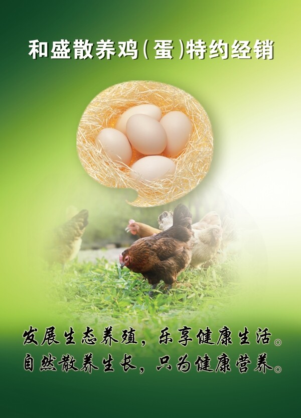 散鸡蛋经销海报图片