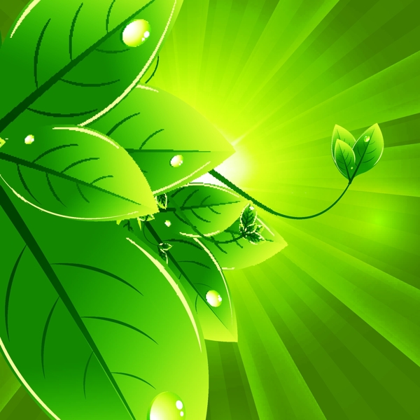 绿叶水珠水滴生态环保背景图片