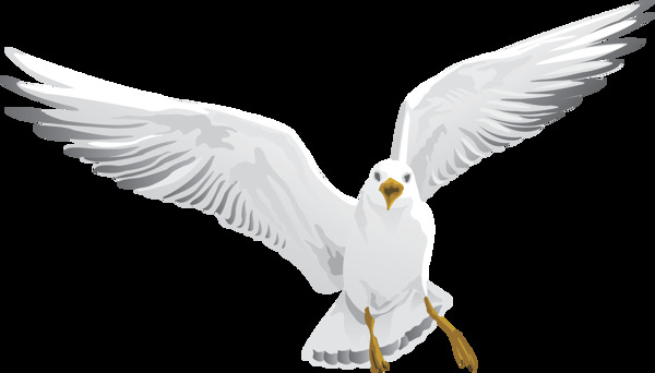 手绘飞翔的白鸽插画元素
