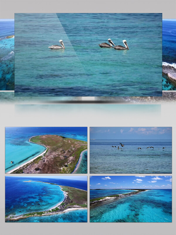 海洋景观珊瑚礁岛屿航拍
