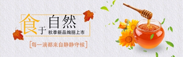 蜂蜜美食清新banner