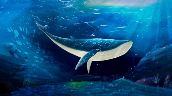 治愈系深海鲸鱼梦幻插画