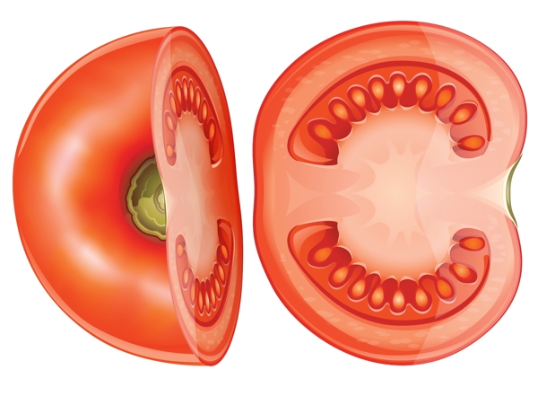 西红柿图片