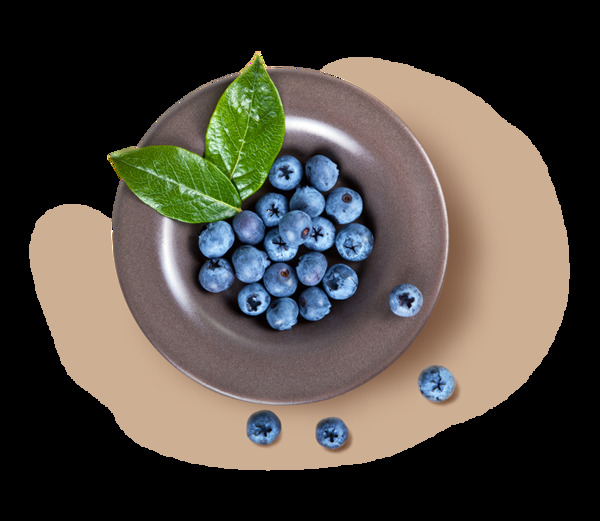 蓝莓实物图png元素