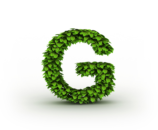 绿叶立体字母G图片