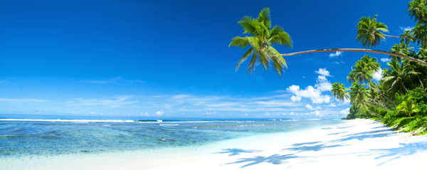 高清椰树大海蓝天沙滩图片