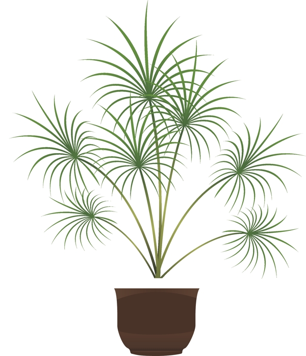 植物盆栽图案