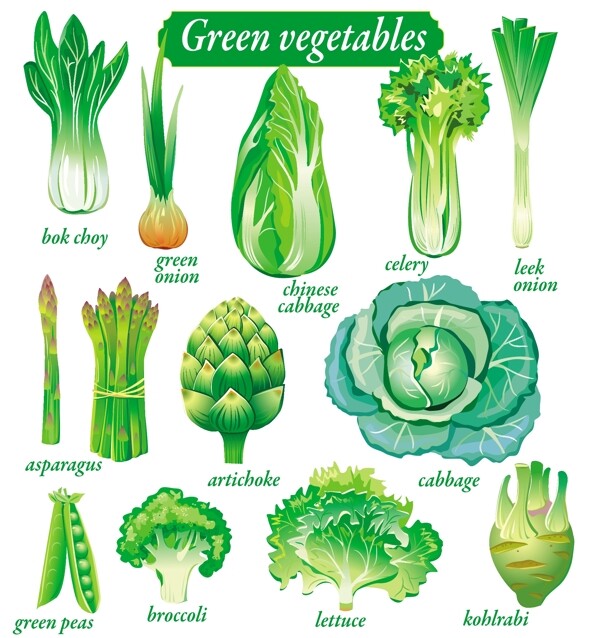 微妙的绿色蔬菜矢量