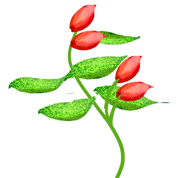 红色花朵图案插图