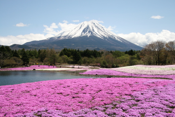 富士山景图片