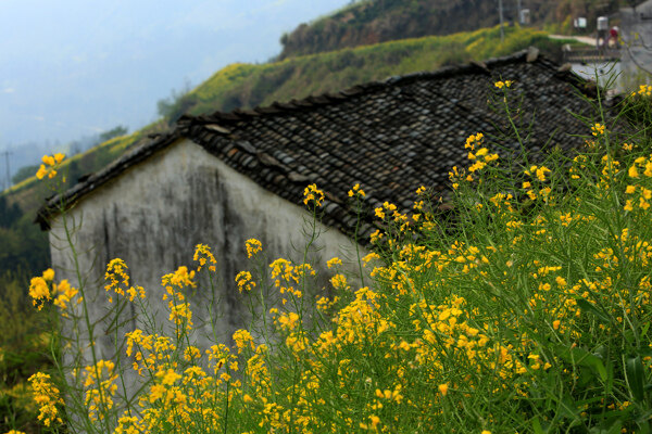 石潭村图片